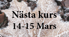 Kurs Mars 2012